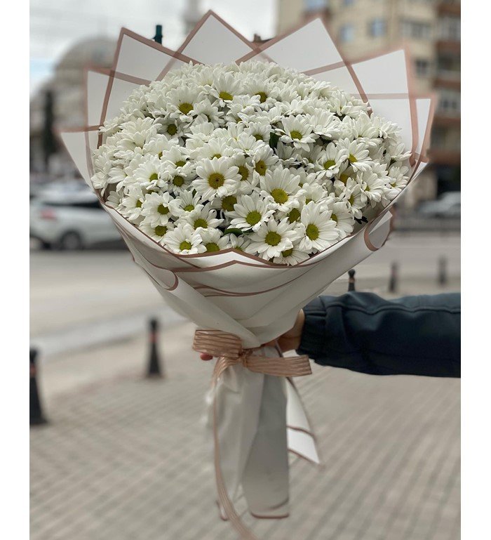 Taze Papatya