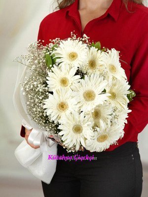 Beyaz Gerbela Çiçekleri