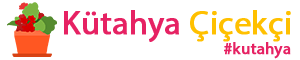 logo-img