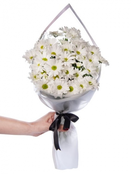 Papatyaların Büyüsü