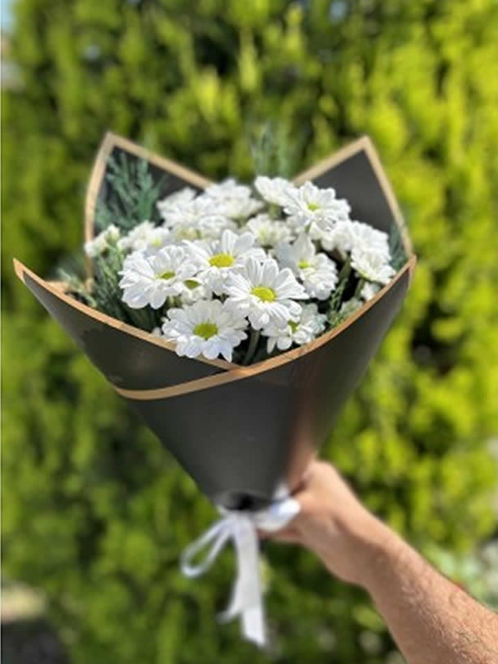 Beyaz Rüyalar Çiçeği